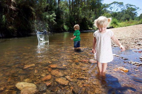Bright Freeburgh Caravan Park - Grafton Accommodation 3