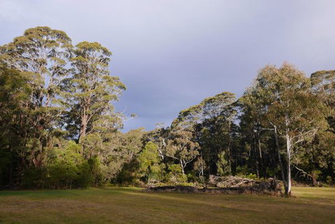 Fernhill Chestnut Farm - Grafton Accommodation 2