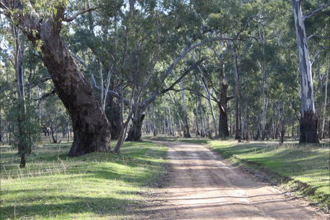 Hughes Park Cottage & Weddings - Grafton Accommodation 2