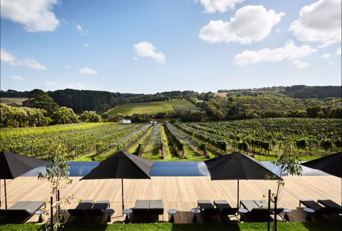 Jackalope Mornington Peninsula - Grafton Accommodation 4