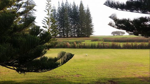 Seaview Hotel And Cottages Norfolk Island - Grafton Accommodation 1