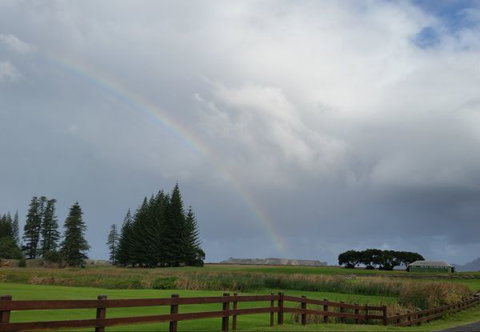 Seaview Hotel And Cottages Norfolk Island - Grafton Accommodation 5