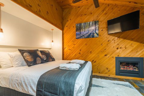Waterfall Springs Retreat And Wildlife Sanctuary - Grafton Accommodation 2
