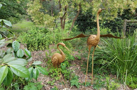 Ferny Hill Retreat - Grafton Accommodation 1