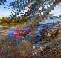 Benarca campground - Grafton Accommodation