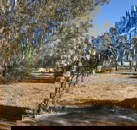 Kadesh Mudbrick Cottage - Grafton Accommodation