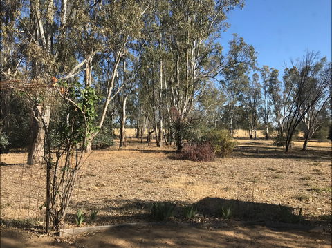 Kadesh Mudbrick Cottage - Grafton Accommodation 0