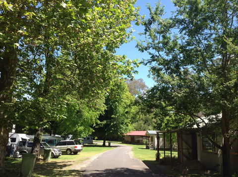 Yackandandah Holiday Park - Grafton Accommodation 0
