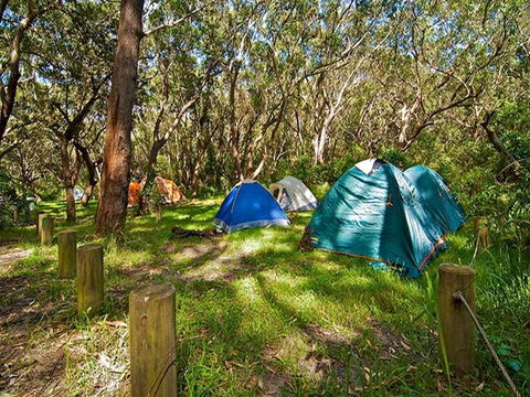 Yagon Campground - Grafton Accommodation 3