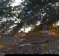 Almerta Station - Grafton Accommodation