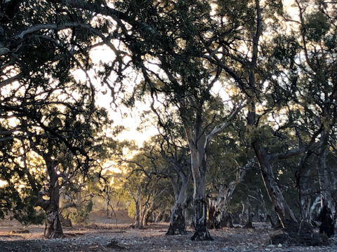 Almerta Station - Grafton Accommodation 6