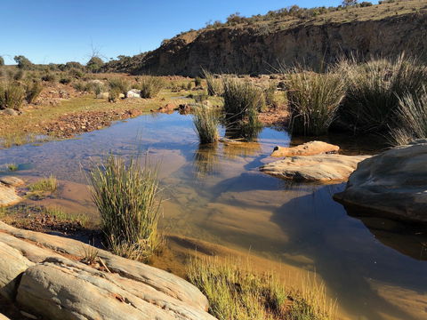 Almerta Station - Grafton Accommodation 7