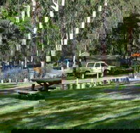 Chaelundi campground - Grafton Accommodation