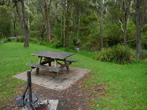 Chaelundi Campground - Grafton Accommodation 1