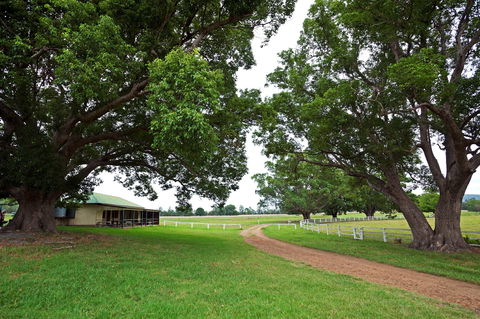 Copmanhurst Recreation Reserve - Grafton Accommodation 0