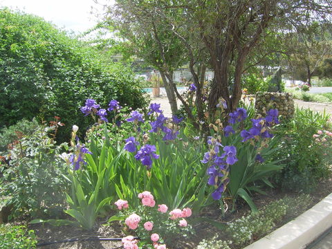 Garden Motor Inn (Golden Chain) - Grafton Accommodation 7