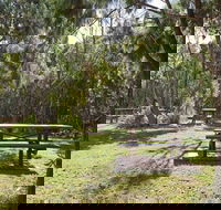 Illaroo group camping area - Grafton Accommodation