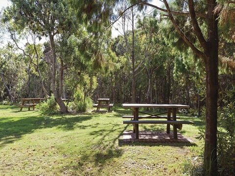 Illaroo Group Camping Area - Grafton Accommodation 0