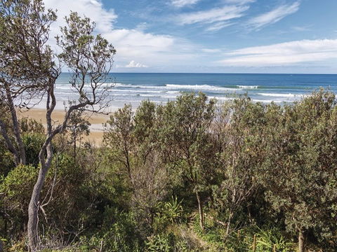 Illaroo Group Camping Area - Grafton Accommodation 2