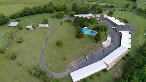 Jacaranda Motor Lodge And Moos Restaurant - Grafton Accommodation 0