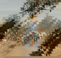 Bullo River Station - Grafton Accommodation