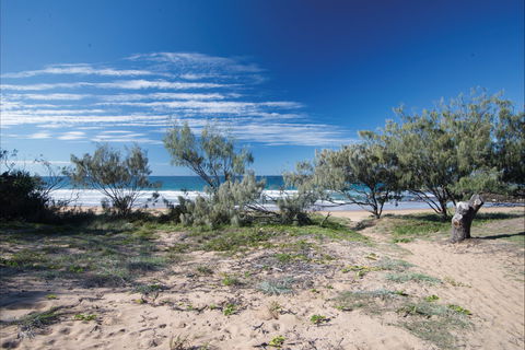 Deepwater National Park Camping - Grafton Accommodation 0