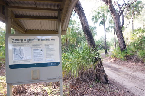 Deepwater National Park Camping - Grafton Accommodation 1