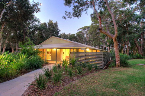 Port Stephens Treescape Camping And Accommodation - Grafton Accommodation 0