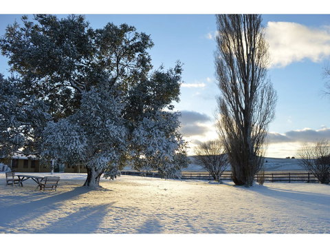 Snowy Mountains Resort - Grafton Accommodation 0