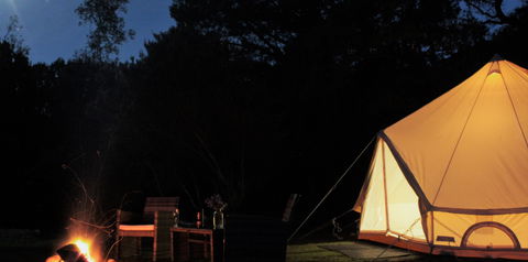 Zeehan Bush Camp - Grafton Accommodation 1