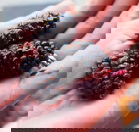 Baileys Lane - Grafton Accommodation