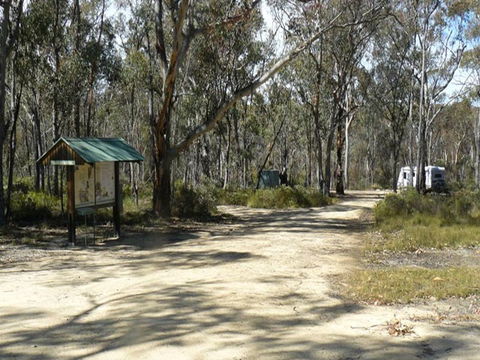 Blatherarm Campground And Picnic Area - Grafton Accommodation 0