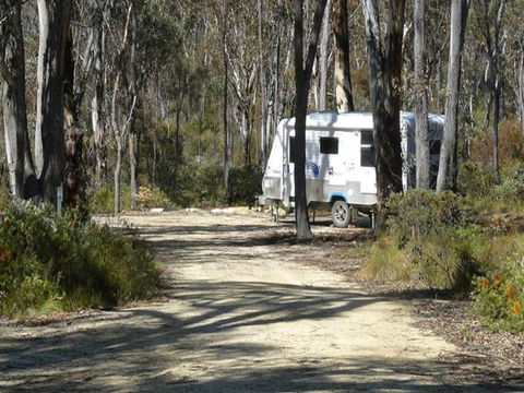 Blatherarm Campground And Picnic Area - Grafton Accommodation 1