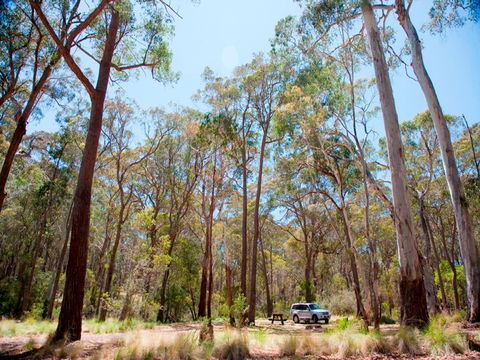 Coolah Tops National Park Camping - Grafton Accommodation 0