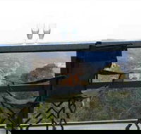 Hatters Hideout Lyres Loft - Grafton Accommodation