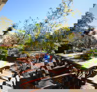 Oyster Catcher Jervis Bay - Grafton Accommodation