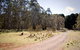 The Pines Campground - thumb 0