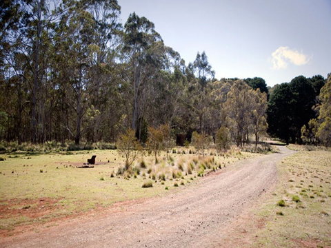 The Pines Campground - Grafton Accommodation 0