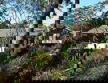 Grass Trees Escape - Grafton Accommodation 0