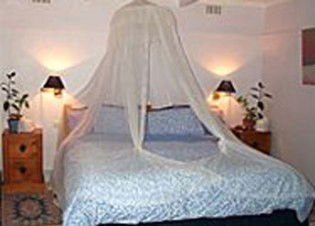 Bondi Beach Garden Sweet - Grafton Accommodation 0