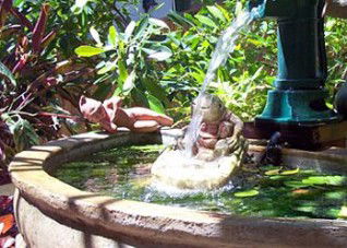 Bondi Beach Garden Sweet - Grafton Accommodation 3