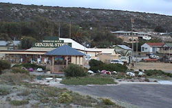 Horrocks Beach Caravan Park - Grafton Accommodation 2