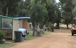 Horrocks Beach Caravan Park - Grafton Accommodation 4