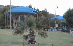 Horrocks Beach Caravan Park - Grafton Accommodation 5