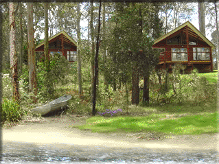 Bewong River Retreat - Grafton Accommodation 4