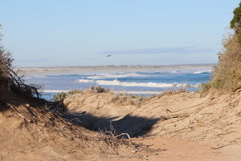 Chadinga Conservation Park Campground - Grafton Accommodation 0