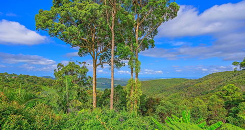 Cloud 9 Cliff Top Eagle Heights - Grafton Accommodation 1