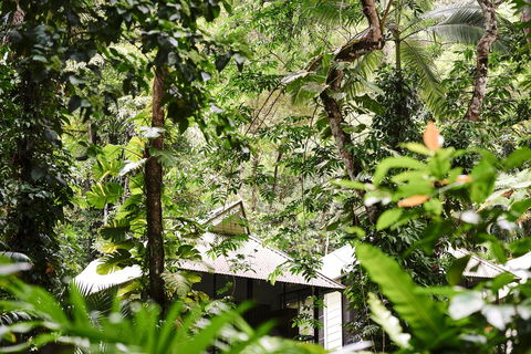 Daintree Ecolodge - Grafton Accommodation 0