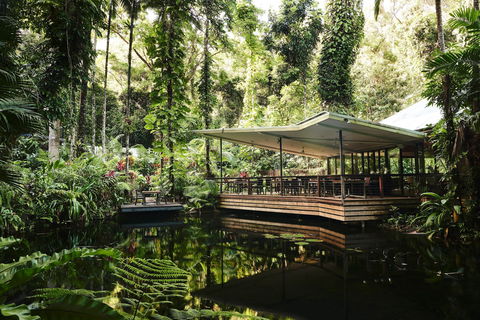 Daintree Ecolodge - Grafton Accommodation 1