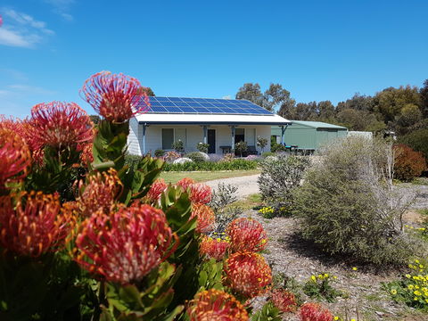 Frangipani Cottage - Grafton Accommodation 0
